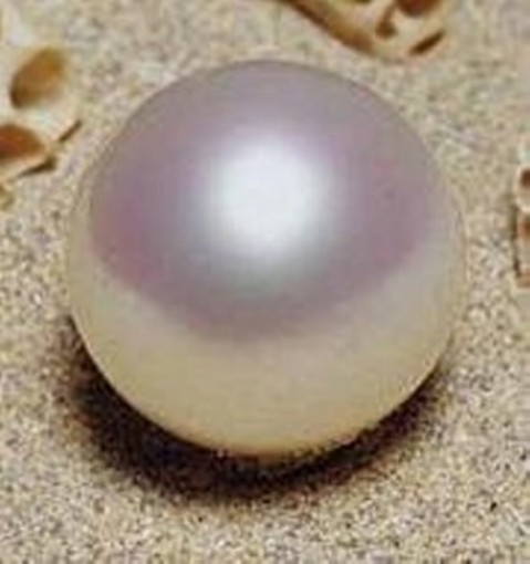 paspaley-pearl